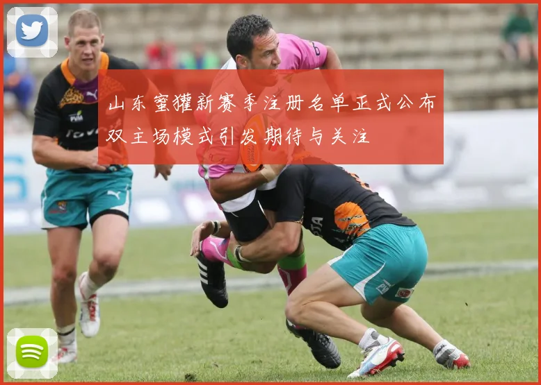 山东蜜獾新赛季注册名单正式公布双主场模式引发期待与关注
