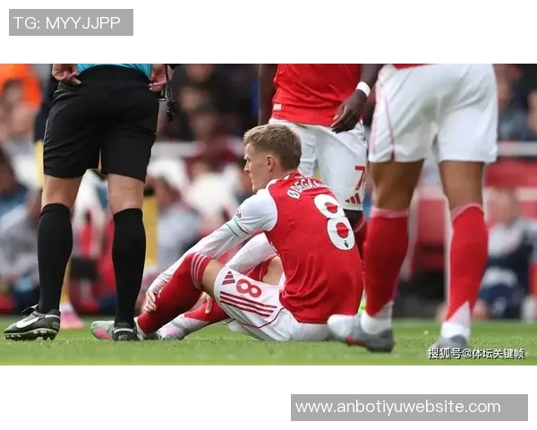 厄德高积极恢复状态分享训练照片期待重返赛场展现风采 厄德高积极恢复状态分享训练照片期待重返赛场展现风采